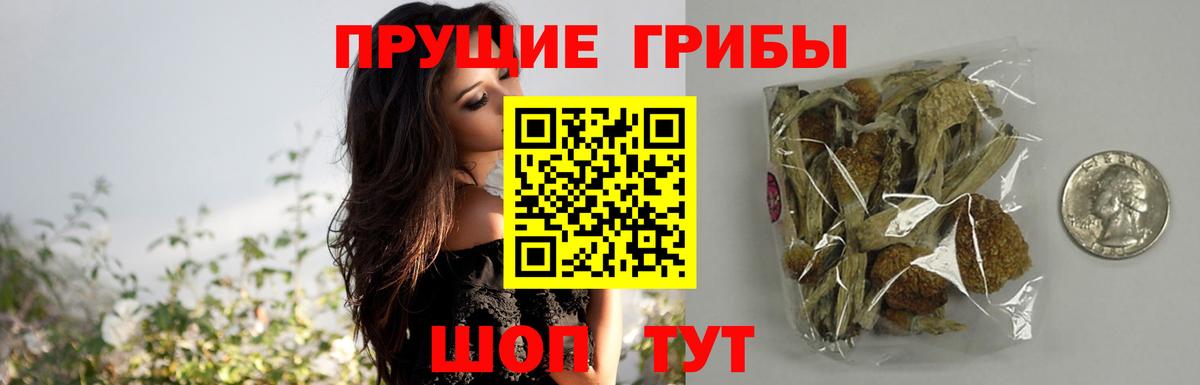 Галлюциногенные грибы прущие грибы  Вход с VPN  Соль-Илецк 